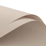 Solid Color Korean Inspired Flower Wrapping Paper (20pcs/bag): 2 - Nude Pink Grey - Rose and Vine Florals