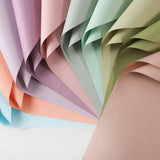 Solid Color Korean Inspired Flower Wrapping Paper (20pcs/bag): 2 - Nude Pink Grey - Rose and Vine Florals
