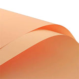 Solid Color Korean Inspired Flower Wrapping Paper (20pcs/bag): 2 - Nude Pink Grey - Rose and Vine Florals
