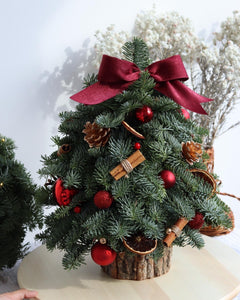 European Christmas Tree Workshop Dec 20th at 3:30-5pm