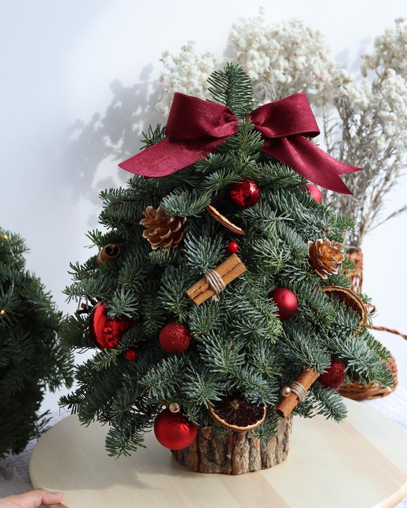 European Christmas Tree Workshop Dec 20th at 3:30-5pm
