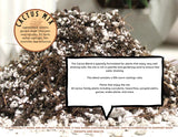 Cactus Blend Potting Soil - Rose and Vine Florals