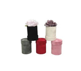 Single Flower Velvet Mini Round Box - Various Colors - For Luxury Flower/ Gift / Chocolate Strawberry Arrangements: Pink