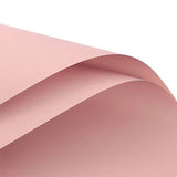 Solid Color Korean Inspired Flower Wrapping Paper (20pcs/bag): 2 - Nude Pink Grey - Rose and Vine Florals