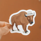 Buffalo Sticker - Rose and Vine Florals