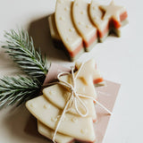 Evergreen Soap Bar: Holiday Collection - Made in Canada
