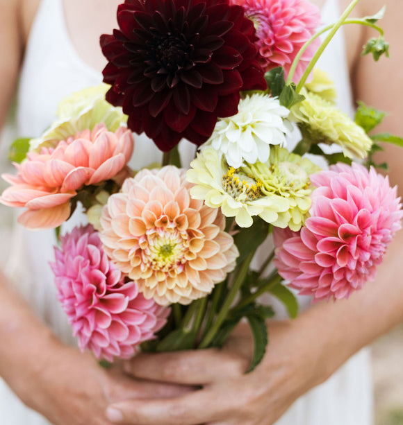 Bring Your Own Vase- Dahlia and Donuts - Saturday Sept 20th @ 1pm
