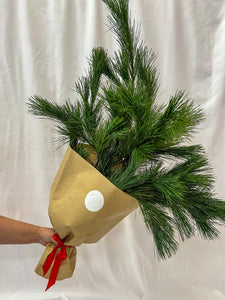 Pine Bunch