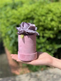 Single Flower Velvet Mini Round Box - Various Colors - For Luxury Flower/ Gift / Chocolate Strawberry Arrangements: Pink