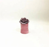 Single Flower Velvet Mini Round Box - Various Colors - For Luxury Flower/ Gift / Chocolate Strawberry Arrangements: Pink