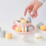 Cotton Candy Bath Macarons - Rose and Vine Florals