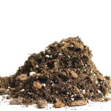Ariod Blend- Potting Soil - Rose and Vine Florals