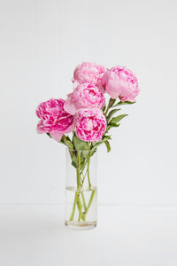 May -5 Week Peony Subscription