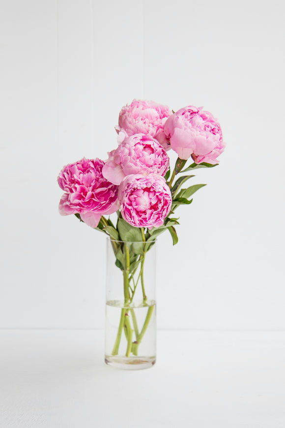 May -5 Week Peony Subscription