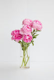 May -5 Week Peony Subscription