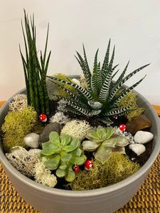 Succulent Planter Bowl