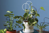 White Modern Plant Stick 8.5"X17 - Rose and Vine Florals