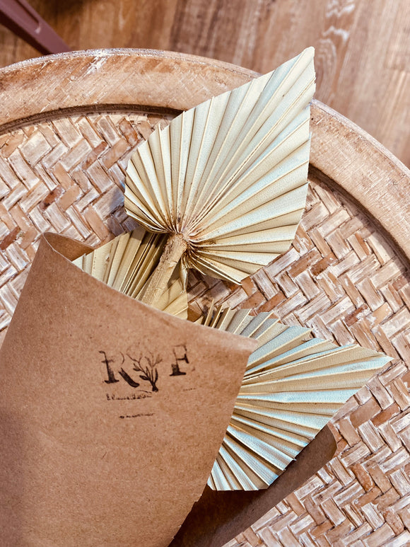 Mini Palm Spears Bundle - Rose and Vine Florals
