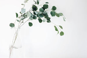Eucalpytus-Green