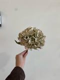 Dried Florals/Stems